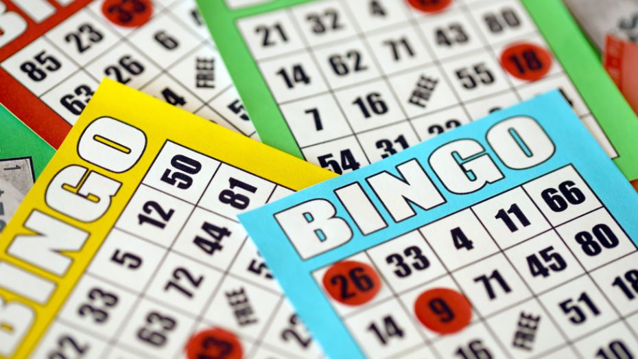 Discover a Variety of Bingo Games at 711Bet