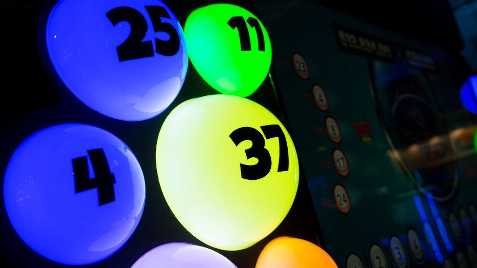 Play Live Bingo for an Immersive Experience